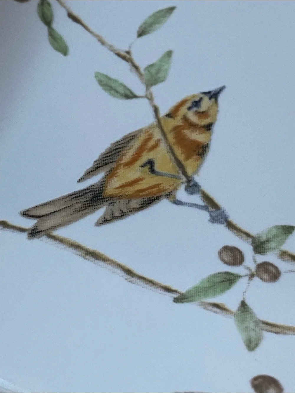Bird Trinket Dish 222 Fifth EARLY BIRD Appetizer Plate yellow Songbird 5.25